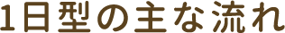 1日型の主な流れ