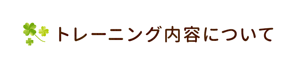 トレーニング内容